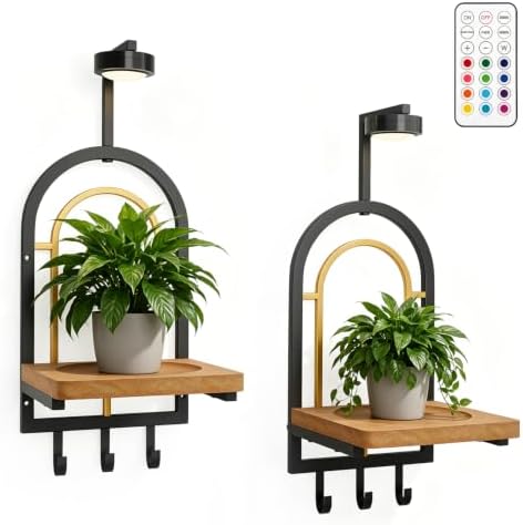 Set of 2 Wall Mounted Plant Shelves by Unknown