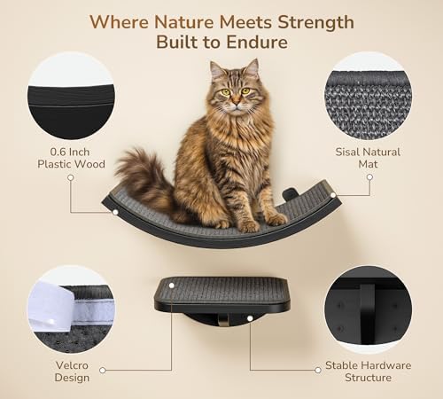 Cat Wall Shelves for Large Cats Set, Wall Mounted Climbing Shelves for Sleeping - Image 3