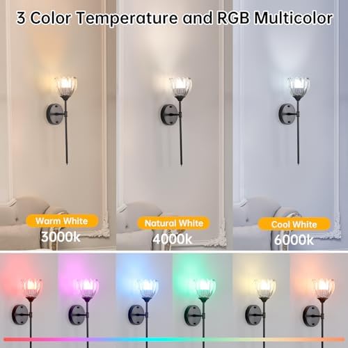 Shenmoyl Battery Operated Wall Sconce Set of 2 - Image 3