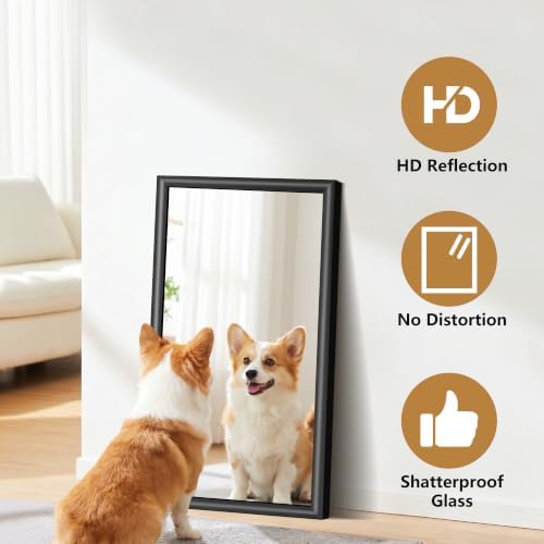 FORBATH Bathroom Mirror for Over Sink, 18x30 Inch Black Vanity Mirror - Image 4