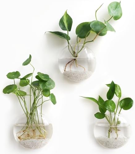 Mkono Wall Propagation Planters, 3 Pack Oblate Hanging Plant Holder Vase by Mkono