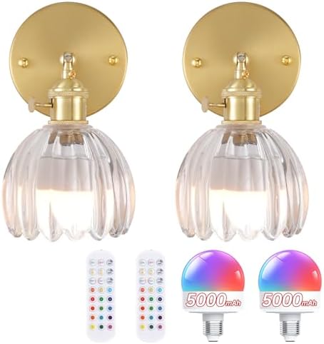 Shenmoyl Vintage Battery Operated Wall Sconce by Shenmoyl