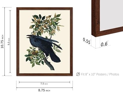 Poster Master Vintage John James Audubon Poster - Image 3