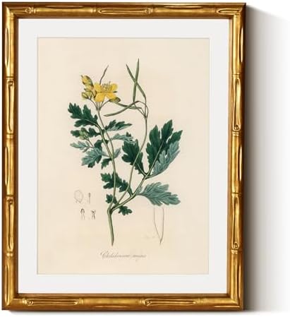InSimSea Gold Bamboo Framed Wall Art, Kitchen Herbs Botanical Prints by InSimSeaArt