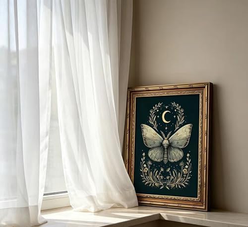 Vintage Gold Framed Celestial Moth Crescent Moon Wall Art Gothic Moody Ethereal - Image 5