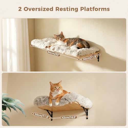 PAWZ Road Cat Wall Shelves, Modern Cat Wall Furniture - Image 4