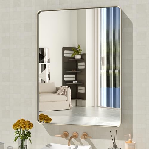 WEER Brushed Nickel Bathroom Vanity Mirror 24X32 Inch by WEER