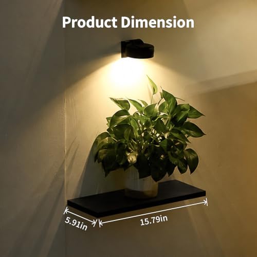 Floating Shelves with Lights for Wall Decor, Wall Plant Shelf - Image 5