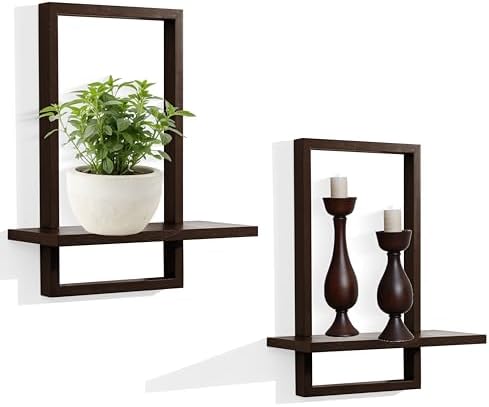 Floating Shelves for Wall, Decorative Wall Shelves, Plants Shelf Framed by PHOENANCEE