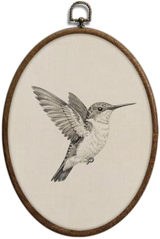 Hummingbird Sketch Oval Wall Art, Vintage Black and White Bird Oval Framed Wall by Unknown