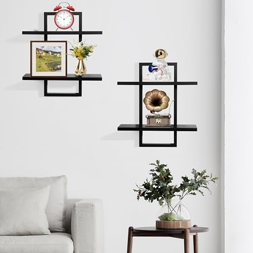 Floating Shelves for Wall, Decorative Wall Shelves Black, Plants Shelf Framed - Image 4