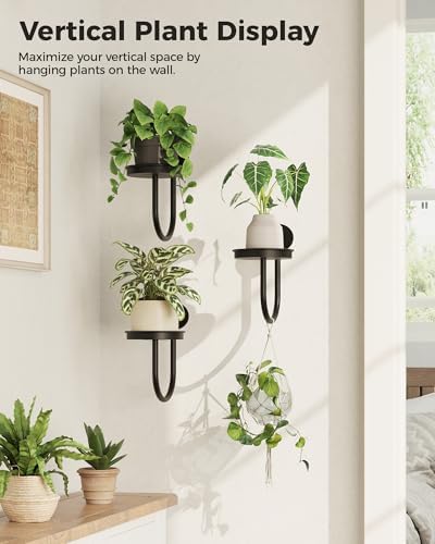 Bamworld Wall Plant Holder for Hanging Planters - Image 3