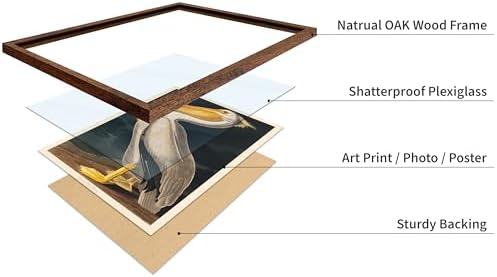 Poster Master Vintage John James Audubon Poster - Image 4