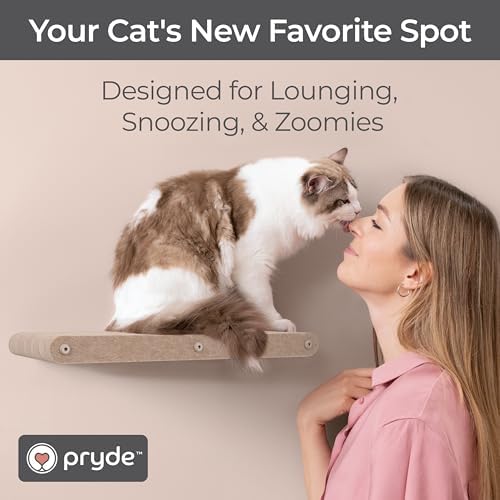 Cat Wall Shelf - Indoor & Outdoor by Pryde Pets - Image 5