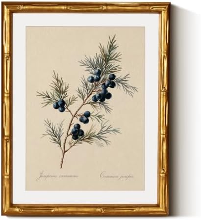 InSimSea Gold Bamboo Framed Christmas Wall Art, Retro Juniper Print by InSimSeaArt