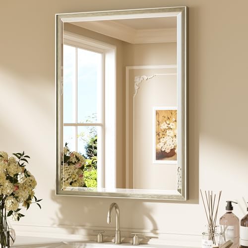 Keonjinn 24"x32" Brushed Nickel Mirror by Keonjinn