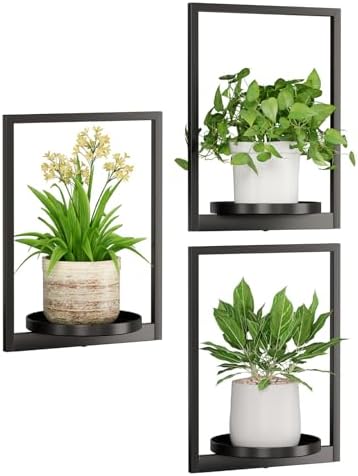 Hanging Planters for Indoor Plants by Qiaogreen