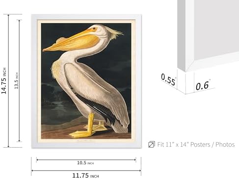 Poster Master Vintage John James Audubon Poster - Image 3