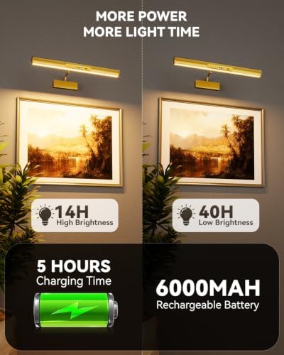 Skairipa 13" Rechargeable Picture Light - Image 3