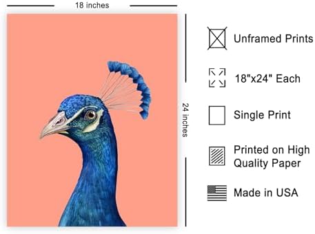 Poster Master Peacock Print - Image 2