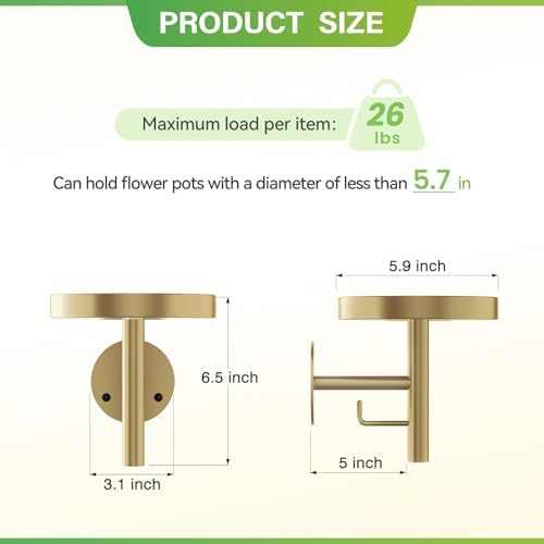 DELLAN Wall Plant Holder, All Gold - Image 4