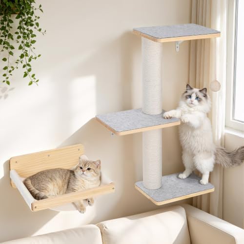 Wall Mounted Cat Shelves Set by ChongzhiweiPetProduct