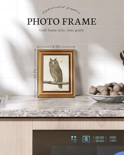 VIYYIEA Vintage Gold Framed Owl Wall Art, 10L x 8W - Image 2
