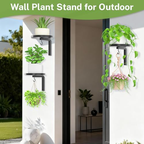 iDavosic.ly Plant Wall Hanger Holder Set of 3 - Image 5