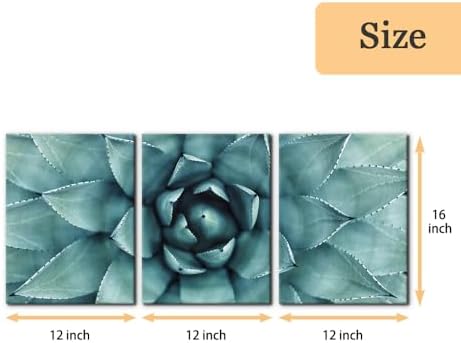 Pacimo 3 Pieces Canvas Wall Art Succulent Centre Pictures Prints Giclee Poster - Image 4