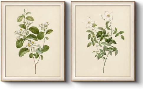 VIYYIEA Framed Botanical Flower Wall Art Set by VIYYIEAART