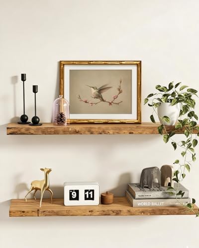 InSimSea Gold Bamboo Framed Wall Art, Vintage Spring Bird Prints - Image 2