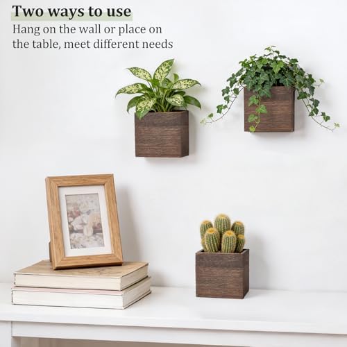 Dahey Small Wall Hanging Planters 3 Pack 4 Inch Wood Pot - Image 5