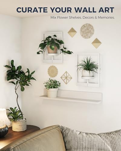 Bamworld Wall Plant Holder Plant Stand Indoor Wall Planters White - Image 6