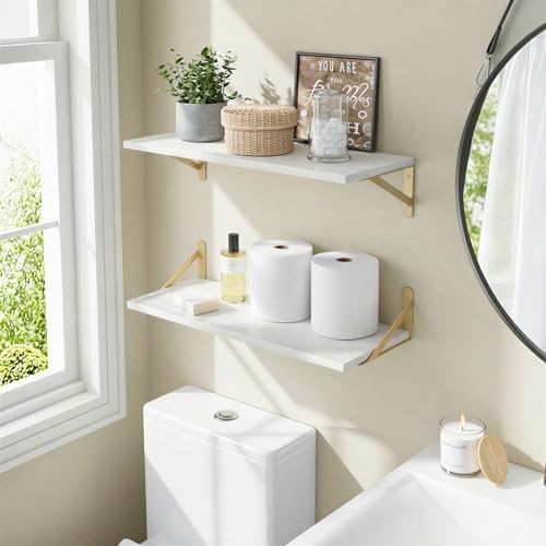 Fixwal 2pcs 10 in Deep Floating Shelves - Image 2