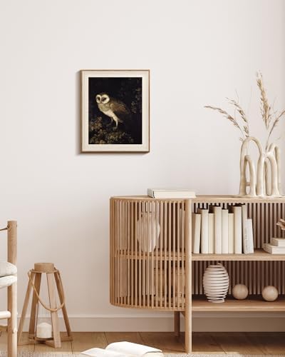 VIYYIEA Framed Vintage Owl Wall Art - Image 5