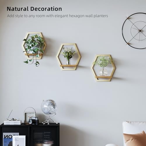 3 Pack Hexagon Wall Plant Stands, 9 Inch Wood Shelf Golden - Image 2