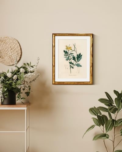 InSimSea Gold Bamboo Framed Wall Art, Kitchen Herbs Botanical Prints - Image 2