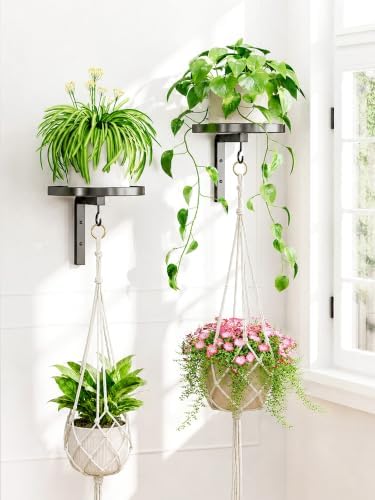 iDavosic.ly Wall Plant Holder by iDavosicly