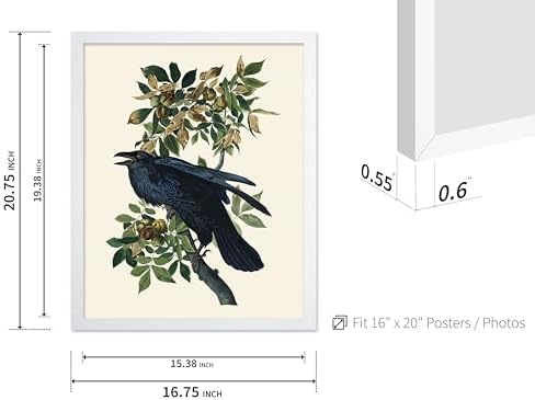 Poster Master Vintage John James Audubon Poster - Image 3