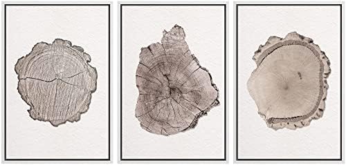 MUDECOR Framed Wall Art Print Set Brown Minimal Wood Ring Tree Closeup Nature by MUDECOR