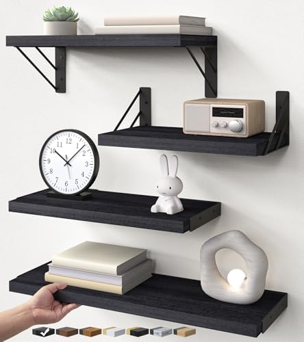 BAYKA Wall Mounted Black Floating Shelves by Bayka