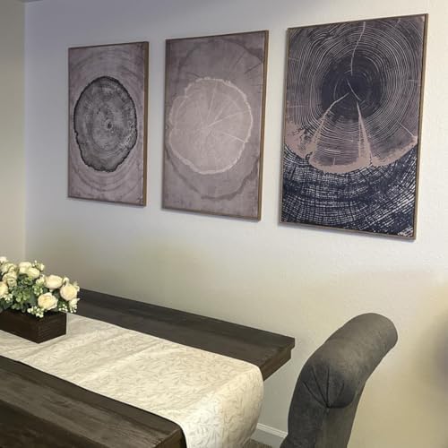 CHDITB Beige Tree Ring Framed Canvas Wall Art Set, Modern Wood Stump Wall Decor - Image 5