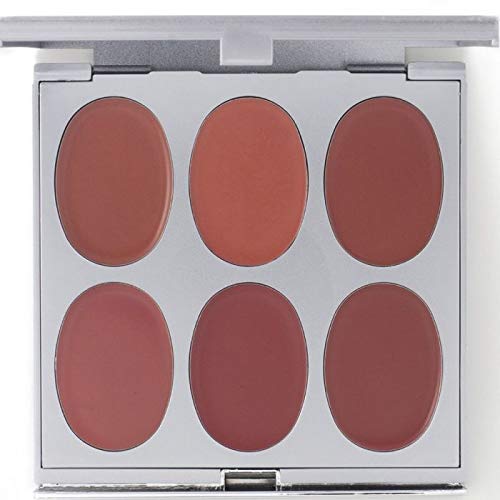 Jerome Alexander New Again Lipstick Palette & Retractable Brush, 6 Hot-Poured, Buildable & Blendable Smooth Matte Shades (Nude)