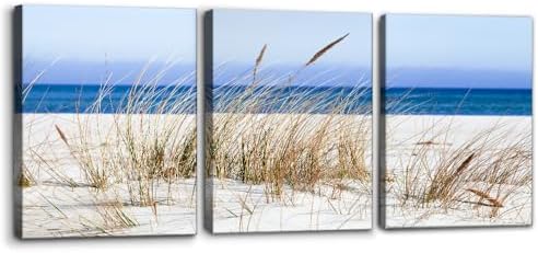 Pacimo Framed Canvas Wall Art 3 Pieces Beach Wild Grass Modern Home Decor by Pacimo