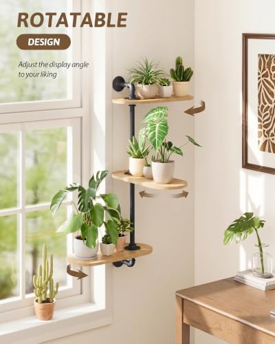 GENTINGBRO Window Plant Shelves 3-Tier Rotating Plant Stand Natural - Image 3