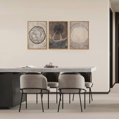 CHDITB Beige Tree Ring Framed Canvas Wall Art Set, Modern Wood Stump Wall Decor - Image 4