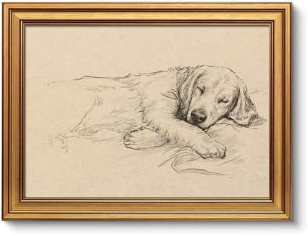 VIYYIEA Vintage Gold Framed Wall Art, Sleepy Retriever, 12x16 inch by VIYYIEAART