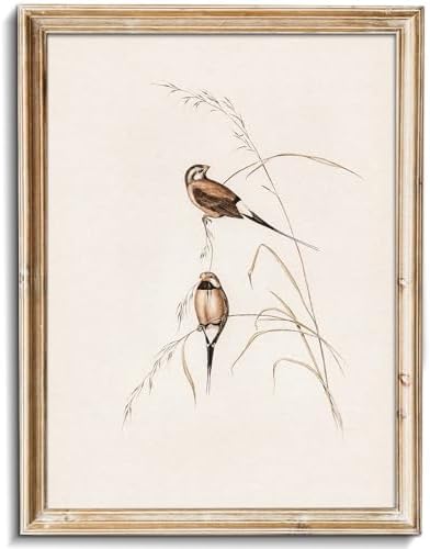 uniro Vintage Bird Wall Art Farmhouse Retro Pictures Canvas Sparrow Birds by uniro