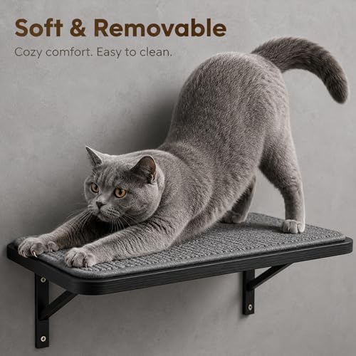 Cat Wall Shelves Set of 2, Wall-Mounted Space-Saving Climbing Bed, Lounging - Image 6
