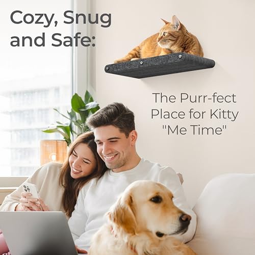 Cat Wall Shelf - Indoor & Outdoor by Pryde Pets - Image 3
